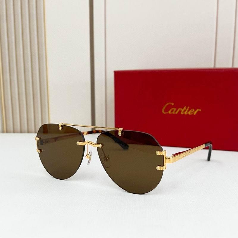 Cartier Sunglasses 876